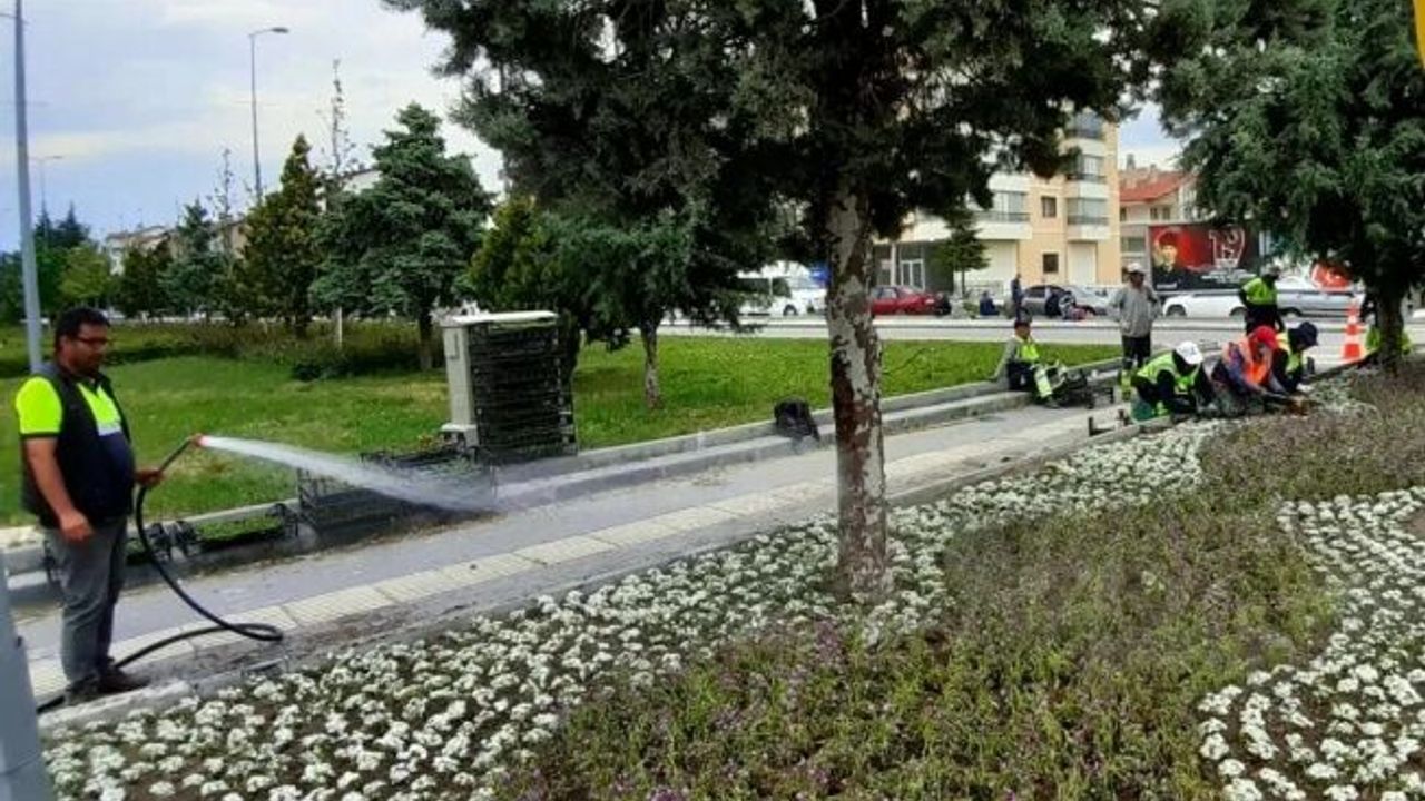 ANFA Alparslan Türkeş Bulvarı'ndaki Çiçekleri Yeniliyor