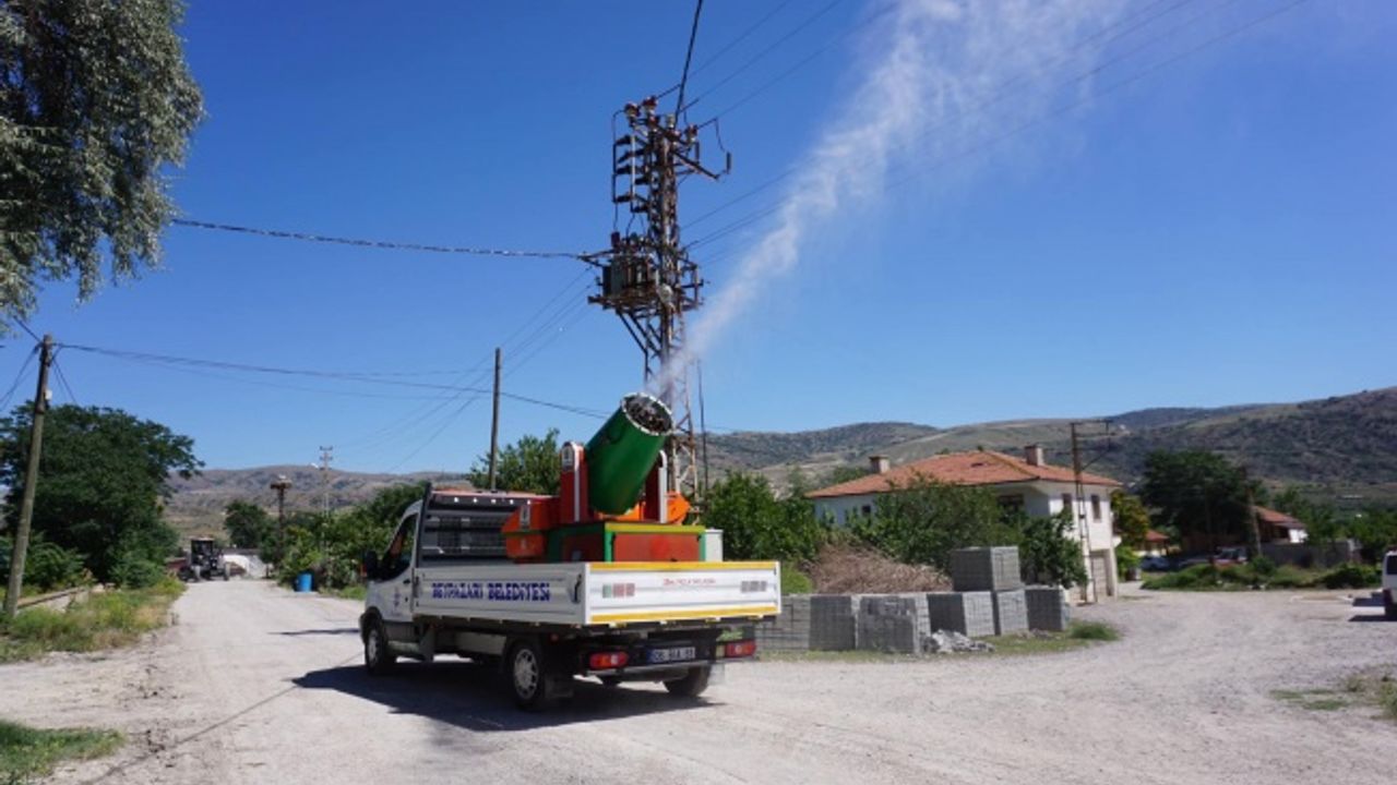 Beypazarı’nda Vektörle Mücadele Sürüyor