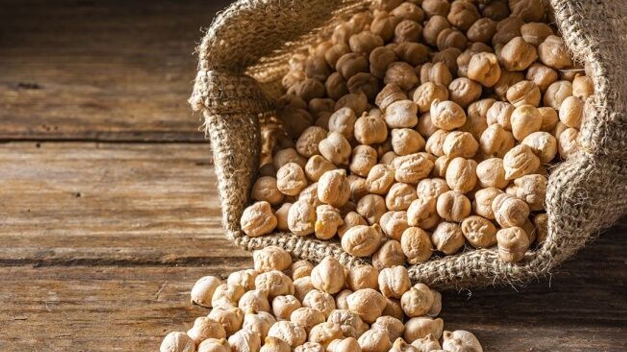 Beypazarılı Çiftçilere Hibeli Nohut Tohumu Desteği