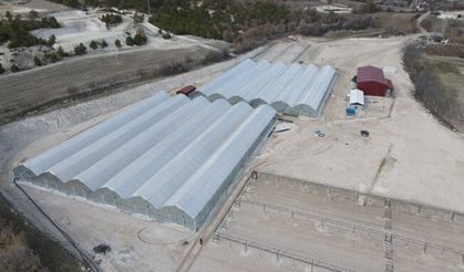 Beypazarı’na Yeni Seralar Kurulacak